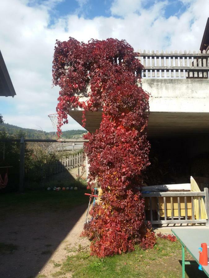 Pitterle Hof Villa Мелтина Екстериор снимка